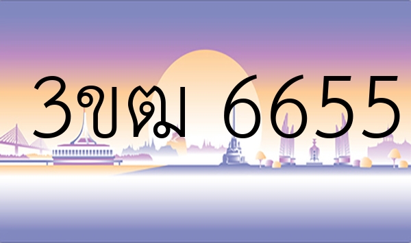 3ขฒ 6655